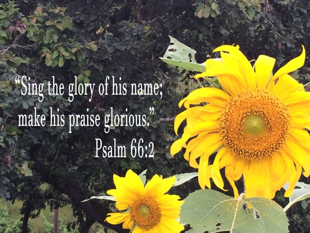 Glory Psalm 662